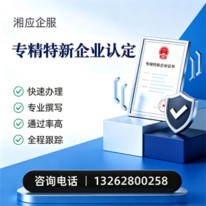 汕尾专精特新企业申报服务