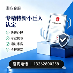 汕尾专精特新小巨人申报服务