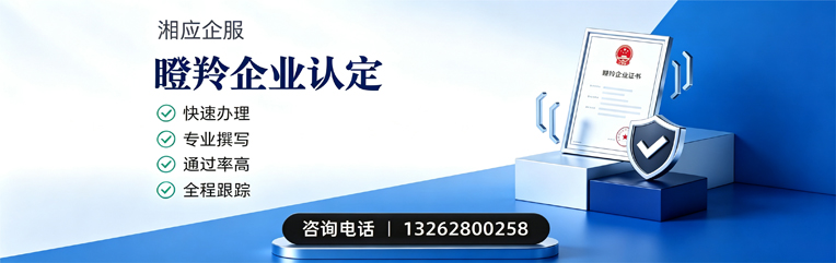 汕尾瞪羚企业认定申报服务