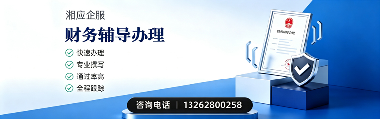 汕尾财务辅导申请服务