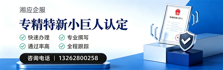 汕尾专精特新小巨人申报服务